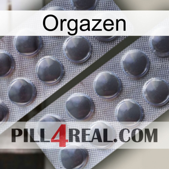 Orgazen 31.jpg